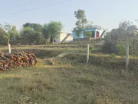  Residential Plot for Sale in Nurpur, Kangra