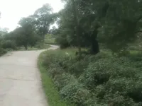  Residential Plot for Sale in Ghuggar, Palampur