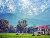  Residential Plot for Sale in Tang Narwana, Dharamshala