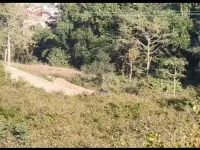  Residential Plot for Sale in Palampur, Kangra