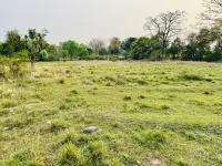  Residential Plot for Sale in Dari, Dharamsala