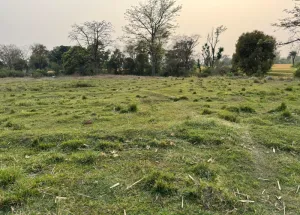 Residential Plot for Sale in Ram Nagar, Dharamshala