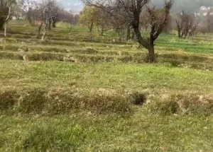 Residential Plot for Sale in Barol, Dharamshala