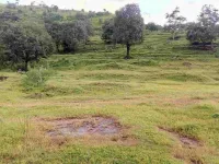  Residential Plot for Sale in Kanhe, Pune