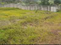 Agricultural Land for Sale in Mulshi, Pune