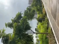  Residential Plot for Sale in Hinjewadi Phase 2, Pune