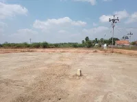  Residential Plot for Sale in Pattukkottai, Thanjavur