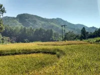  Residential Plot for Sale in Nongpoh, Ri-Bhoi