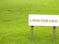  Residential Plot for Sale in Pari Chowk, Greater Noida