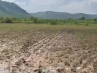  Agricultural Land for Sale in Tehla, Alwar