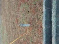  Residential Plot for Sale in Tanuku, West Godavari