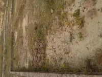  Residential Plot for Sale in Bindki, Fatehpur-UP