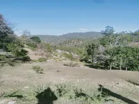  Agricultural Land for Sale in Ranikhet, Almora