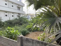  Residential Plot for Sale in Narsapur, West Godavari