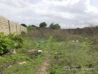  Residential Plot for Sale in Adampur, Jalandhar