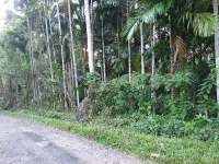  Agricultural Land for Sale in Diglipur, Andaman