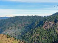  Agricultural Land for Rent in Lamgara, Almora