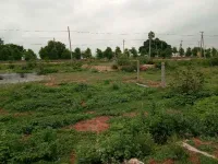  Agricultural Land for Sale in Peddapuram, East Godavari