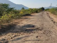  Agricultural Land for Sale in Mysore Road, Bangalore