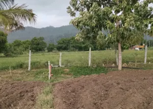 Agricultural Land for Sale in JP Nagar 9th Phase, Bangalore