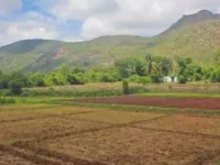  Agricultural Land for Sale in Malleswaram, Bangalore
