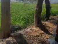  Agricultural Land for Sale in Trivediganj, Barabanki