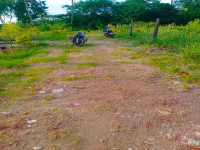  Agricultural Land for Sale in Joka, Kolkata
