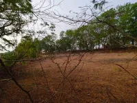  Commercial Land for Sale in Kota Road, Bilaspur