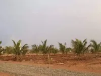  Agricultural Land for Sale in Dwarka Expressway, Gurgaon