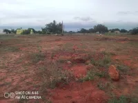  Agricultural Land for Sale in Annur, Coimbatore