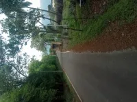  Agricultural Land for Sale in Madampatti, Coimbatore