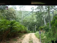 Agricultural Land for Sale in Kodai Lake, Kodaikanal