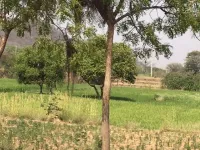  Agricultural Land for Sale in Ponnala, Siddipet