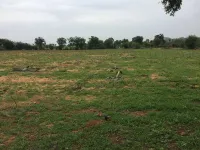  Agricultural Land for Sale in Bhongir, Yadadri Bhuvanagiri
