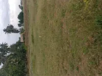  Agricultural Land for Sale in Sathyamangalam, Erode