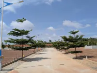  Residential Plot for Sale in Budigere, Bangalore