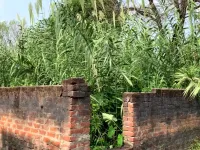  Residential Plot for Sale in Haridwar Road, Rishikesh