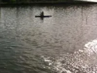  Agricultural Land for Sale in Ongole, Prakasam