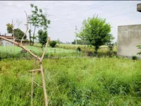  Residential Plot for Sale in Mukerian, Hoshiarpur