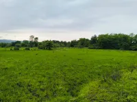  Residential Plot for Sale in Vindhane, Navi Mumbai