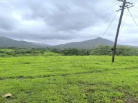  Residential Plot for Sale in Pen, Raigad