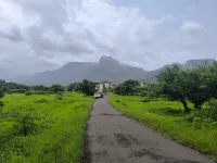  Residential Plot for Sale in Mangaon, Raigad