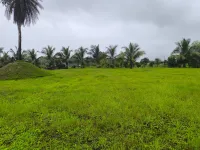  Residential Plot for Sale in Pen, Raigad