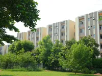 3 BHK Builder Floor for Sale in Bamheta, Ghaziabad