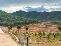  Agricultural Land for Sale in Anaikatti, Coimbatore