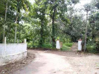  Residential Plot for Sale in Irinjalakuda, Thrissur