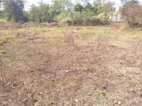  Residential Plot for Sale in Chhotu Ram Nagar, Bahadurgarh