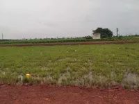  Residential Plot for Sale in Payakapuram, Vijayawada