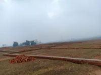  Residential Plot for Sale in Angara, Ranchi