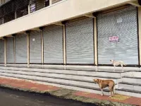  200 Sq.ft. Commercial Shop for Sale in Virar West, Mumbai